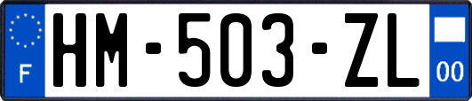 HM-503-ZL