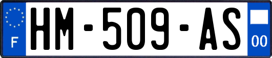 HM-509-AS