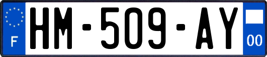 HM-509-AY