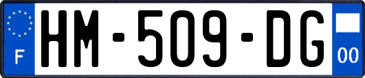 HM-509-DG
