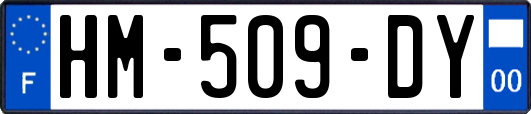 HM-509-DY
