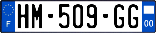 HM-509-GG