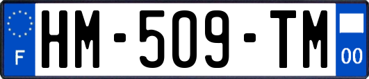 HM-509-TM