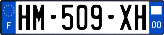 HM-509-XH