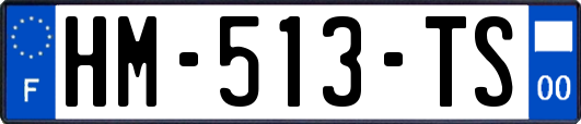 HM-513-TS