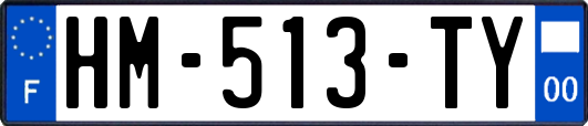 HM-513-TY