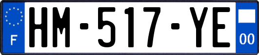 HM-517-YE