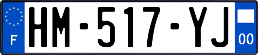 HM-517-YJ
