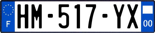 HM-517-YX