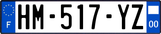HM-517-YZ