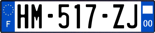 HM-517-ZJ