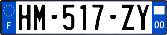 HM-517-ZY