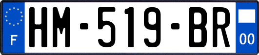 HM-519-BR