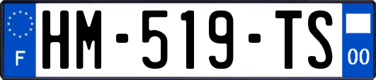 HM-519-TS