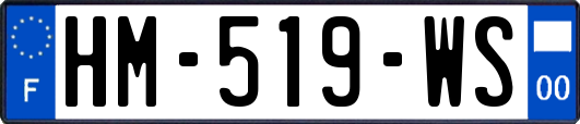HM-519-WS