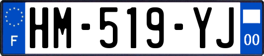 HM-519-YJ