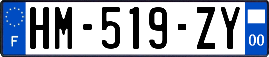 HM-519-ZY