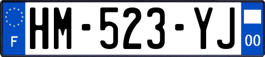 HM-523-YJ