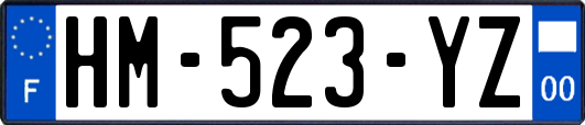 HM-523-YZ