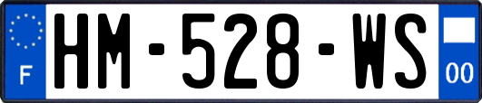 HM-528-WS