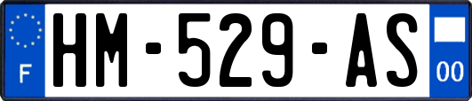 HM-529-AS