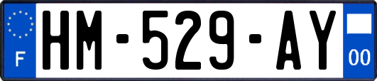 HM-529-AY