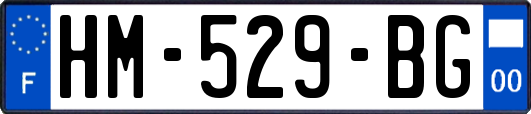 HM-529-BG