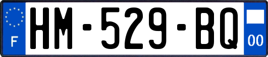 HM-529-BQ