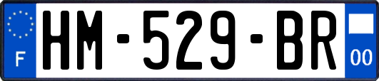 HM-529-BR