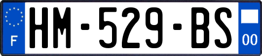 HM-529-BS