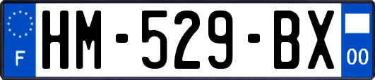 HM-529-BX