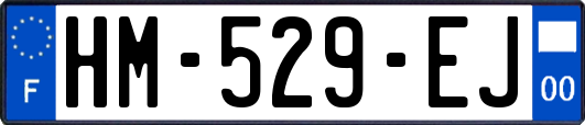 HM-529-EJ