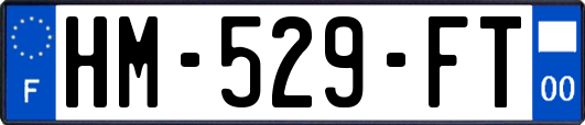 HM-529-FT