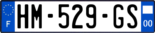 HM-529-GS