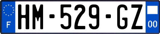 HM-529-GZ