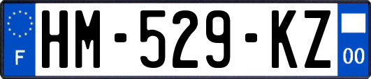 HM-529-KZ