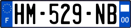 HM-529-NB