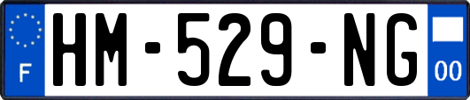 HM-529-NG