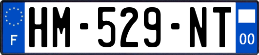 HM-529-NT