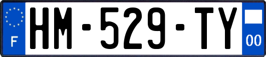 HM-529-TY