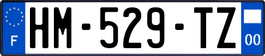 HM-529-TZ