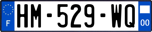 HM-529-WQ