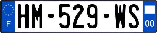 HM-529-WS