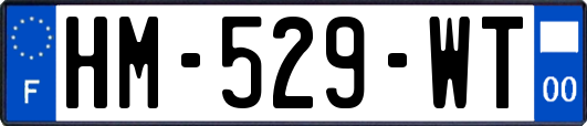 HM-529-WT
