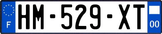 HM-529-XT