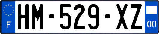 HM-529-XZ