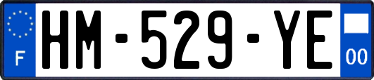 HM-529-YE