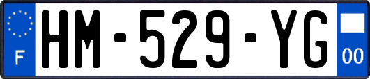 HM-529-YG