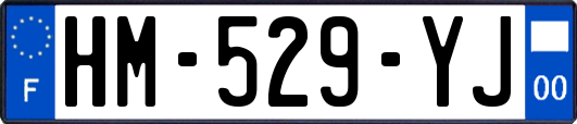 HM-529-YJ