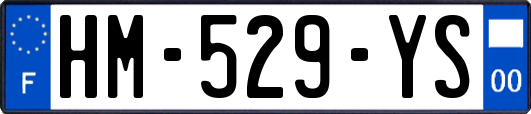 HM-529-YS